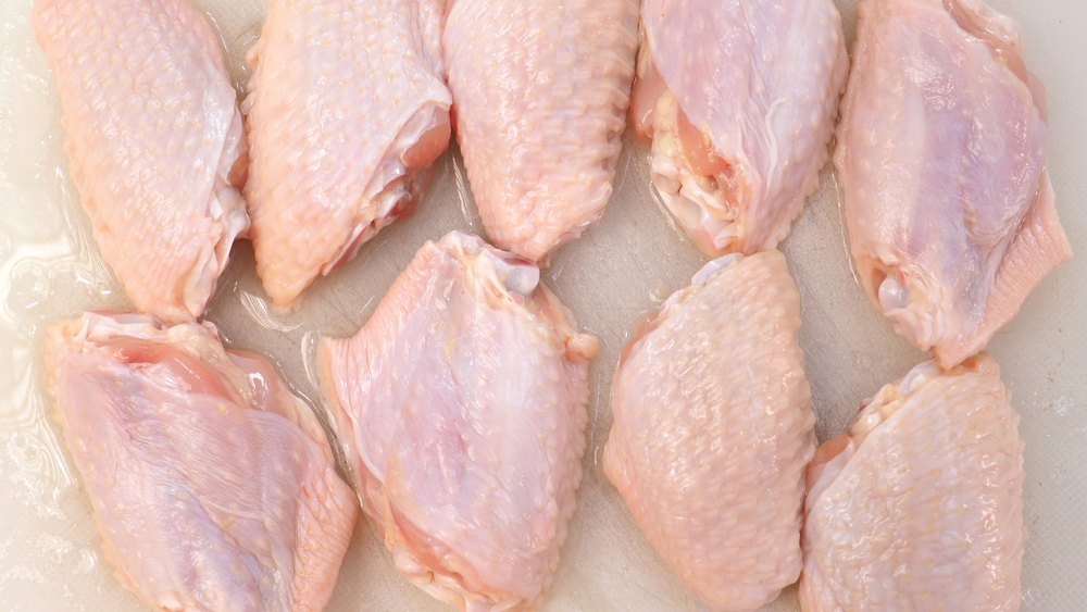 Pollo