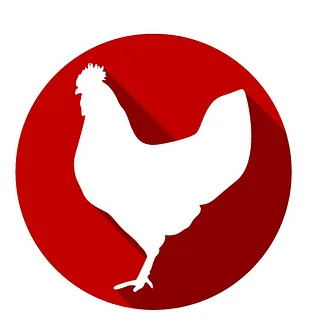 Carne de pollo